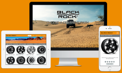 website picture